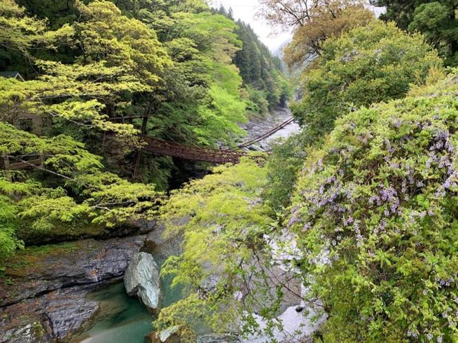 Iya Kankou Ryokan Hotel Miyoshi  Bagian luar foto