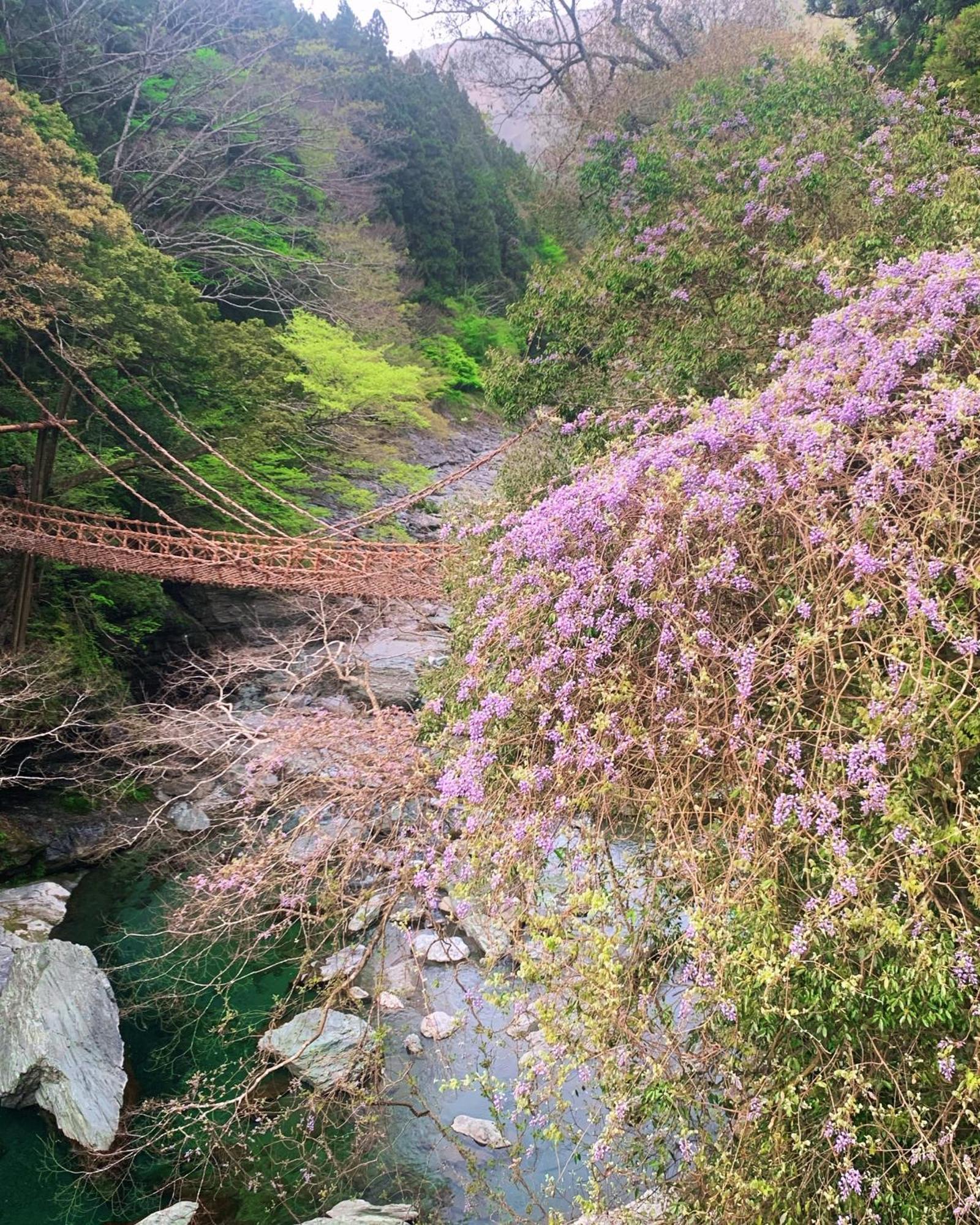 Iya Kankou Ryokan Hotel Miyoshi  Bagian luar foto